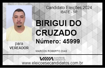 Candidato BIRIGUI DO CRUZADO  2024 - IBATÉ - Eleições