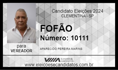 Candidato FOFÃO 2024 - CLEMENTINA - Eleições