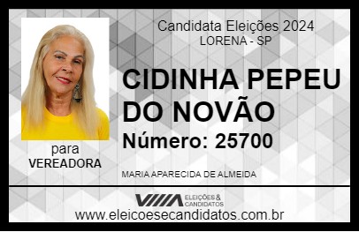 Candidato CIDINHA PEPEU DO NOVÃO 2024 - LORENA - Eleições