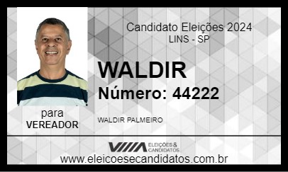 Candidato WALDIR 2024 - LINS - Eleições