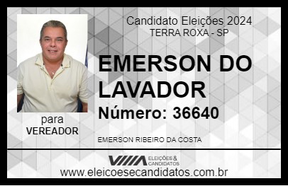 Candidato EMERSON DO LAVADOR 2024 - TERRA ROXA - Eleições