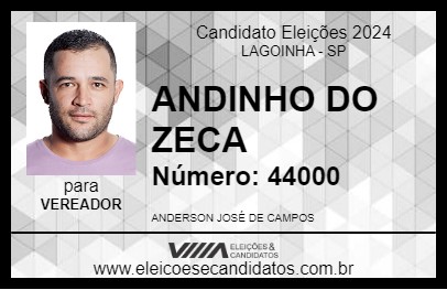 Candidato ANDINHO DO ZECA 2024 - LAGOINHA - Eleições