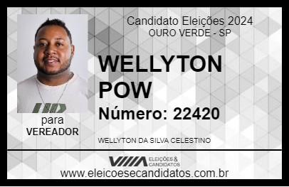 Candidato WELLYTON POW 2024 - OURO VERDE - Eleições