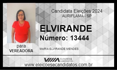 Candidato ELVIRANDE 2024 - AURIFLAMA - Eleições