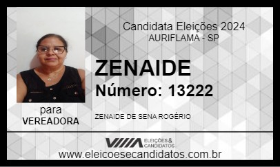 Candidato ZENAIDE 2024 - AURIFLAMA - Eleições