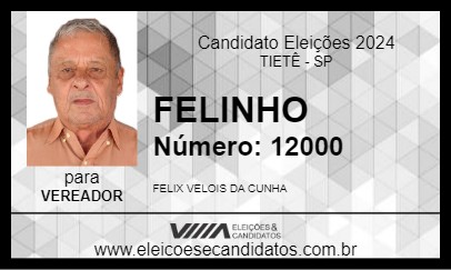 Candidato FELINHO 2024 - TIETÊ - Eleições