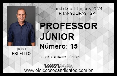 Candidato PROFESSOR JÚNIOR 2024 - PITANGUEIRAS - Eleições