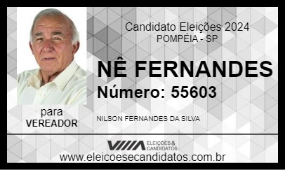 Candidato NÊ FERNANDES 2024 - POMPÉIA - Eleições