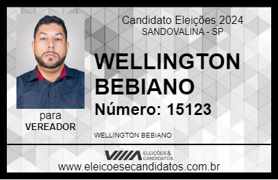 Candidato WELLINGTON BEBIANO 2024 - SANDOVALINA - Eleições