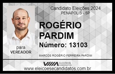 Candidato ROGÉRIO PARDIM 2024 - PENÁPOLIS - Eleições