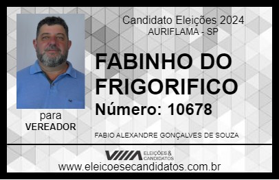 Candidato FABINHO DO FRIGORIFICO 2024 - AURIFLAMA - Eleições