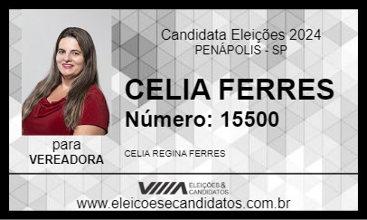 Candidato CELIA FERRES 2024 - PENÁPOLIS - Eleições