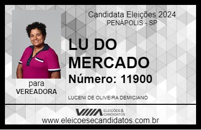 Candidato LU DO MERCADO 2024 - PENÁPOLIS - Eleições