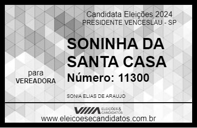 Candidato SONINHA DA SANTA CASA 2024 - PRESIDENTE VENCESLAU - Eleições