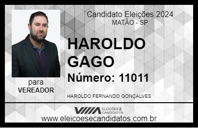 Candidato HAROLDO GAGO 2024 - MATÃO - Eleições