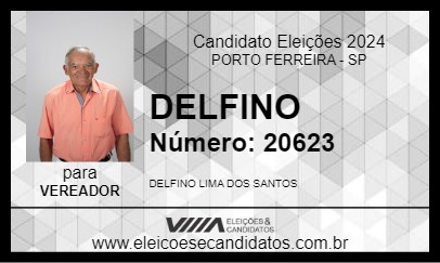 Candidato DELFINO 2024 - PORTO FERREIRA - Eleições