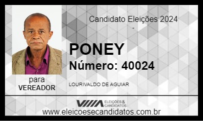 Candidato PONEY 2024 - SUMARÉ - Eleições