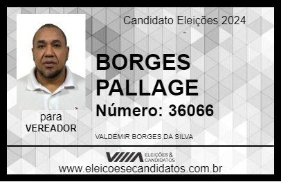 Candidato BORGES PALLAGE 2024 - BARUERI - Eleições