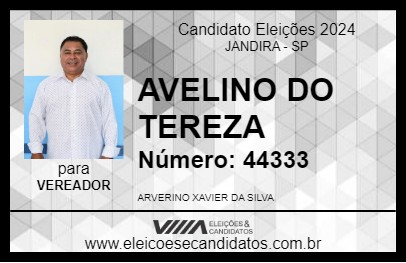 Candidato AVELINO DO TEREZA 2024 - JANDIRA - Eleições