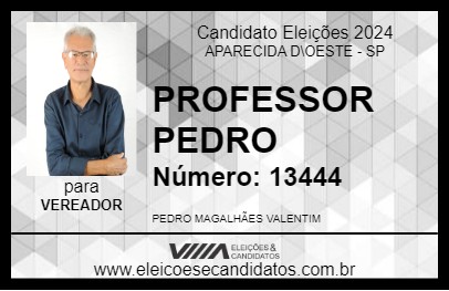 Candidato PROFESSOR PEDRO 2024 - APARECIDA D\OESTE - Eleições