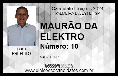 Candidato MAURÃO DA ELEKTRO 2024 - PALMEIRA D\OESTE - Eleições