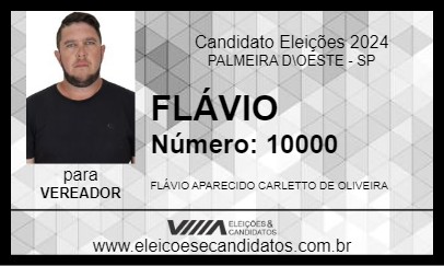 Candidato FLÁVIO 2024 - PALMEIRA D\OESTE - Eleições