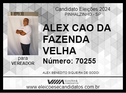 Candidato ALEX CAO DA FAZENDA VELHA 2024 - PINHALZINHO - Eleições