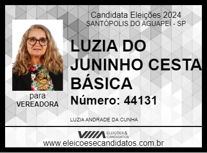 Candidato LUZIA DO JUNINHO CESTA BÁSICA 2024 - SANTÓPOLIS DO AGUAPEÍ - Eleições