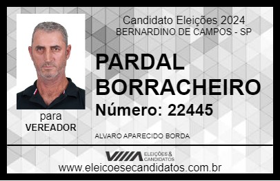 Candidato PARDAL BORRACHEIRO 2024 - BERNARDINO DE CAMPOS - Eleições