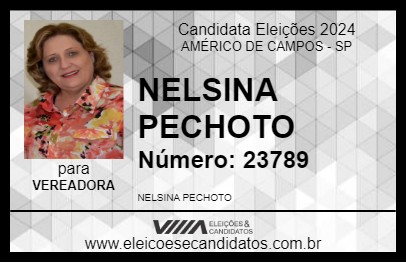 Candidato NELSINA PECHOTO 2024 - AMÉRICO DE CAMPOS - Eleições