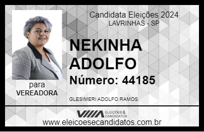 Candidato NEKINHA ADOLFO 2024 - LAVRINHAS - Eleições