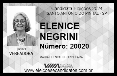 Candidato ELENICE NEGRINI 2024 - SANTO ANTÔNIO DO PINHAL - Eleições