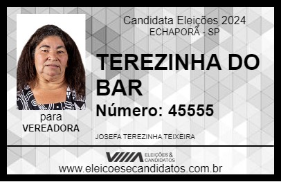 Candidato TEREZINHA DO BAR 2024 - ECHAPORÃ - Eleições