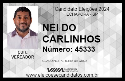 Candidato NEI DO CARLINHOS 2024 - ECHAPORÃ - Eleições