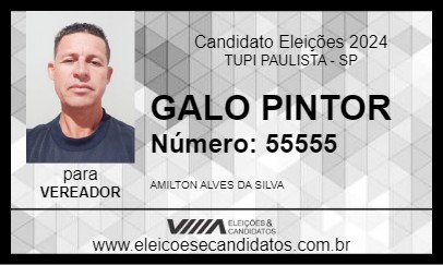 Candidato GALO PINTOR 2024 - TUPI PAULISTA - Eleições