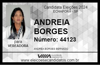 Candidato ANDREIA BORGES 2024 - ECHAPORÃ - Eleições