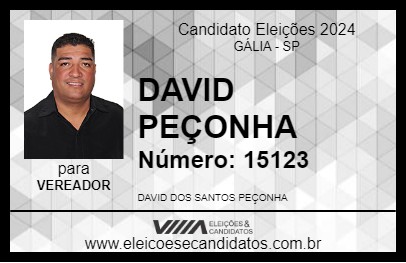 Candidato DAVID PEÇANHA 2024 - GÁLIA - Eleições