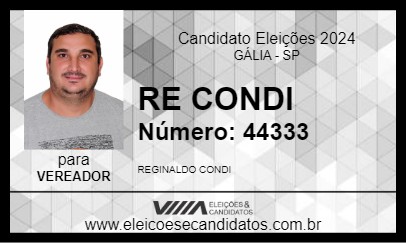 Candidato RE CONDI 2024 - GÁLIA - Eleições