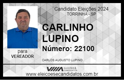 Candidato CARLINHO LUPINO 2024 - TORRINHA - Eleições