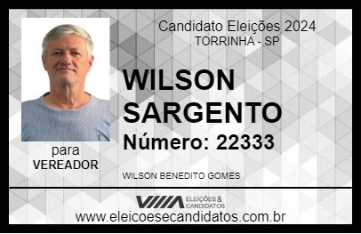 Candidato WILSON SARGENTO 2024 - TORRINHA - Eleições