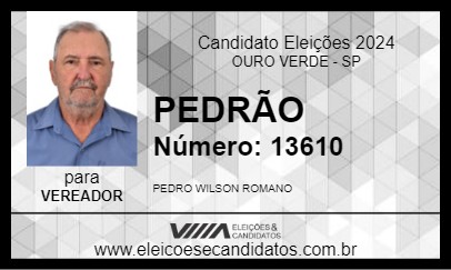 Candidato PEDRÃO 2024 - OURO VERDE - Eleições