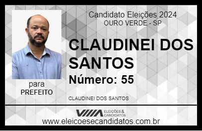 Candidato DINEI DA BANDA 2024 - OURO VERDE - Eleições