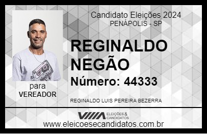 Candidato REGINALDO NEGÃO 2024 - PENÁPOLIS - Eleições