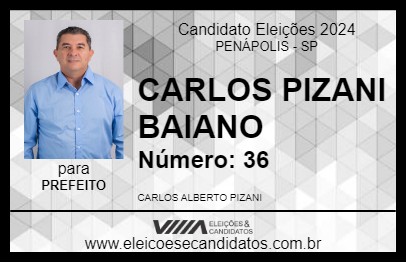 Candidato CARLOS PIZANI BAIANO 2024 - PENÁPOLIS - Eleições