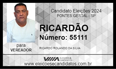 Candidato RICARDÃO 2024 - PONTES GESTAL - Eleições