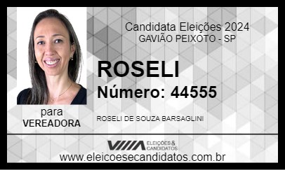 Candidato ROSELI 2024 - GAVIÃO PEIXOTO - Eleições