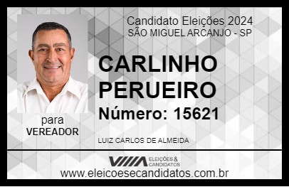 Candidato CARLINHO PERUEIRO 2024 - SÃO MIGUEL ARCANJO - Eleições