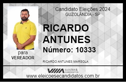 Candidato RICARDO ANTUNES 2024 - GUZOLÂNDIA - Eleições