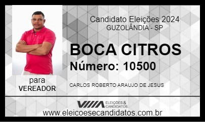 Candidato BOCA CITROS 2024 - GUZOLÂNDIA - Eleições