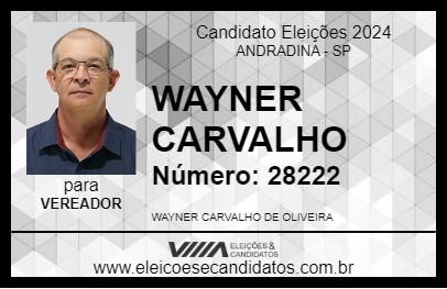 Candidato WAYNER CARVALHO 2024 - ANDRADINA - Eleições